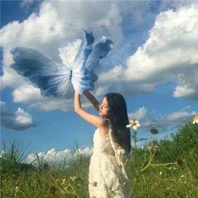 功夫兔与菜包狗第一季